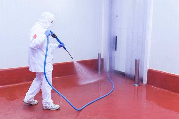 Best Soft Washing  in Weaverville, CA